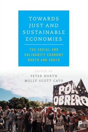 Towards just and sustainable economies: The social and solidarity economy North and South