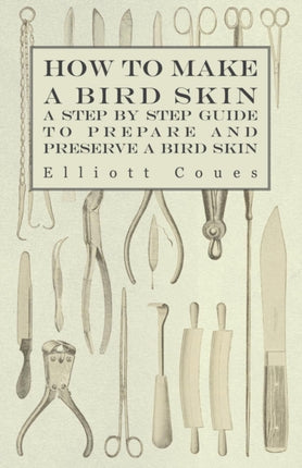 How to Make a Bird Skin  A Step by Step Guide to Prepare and Preserve a Bird Skin