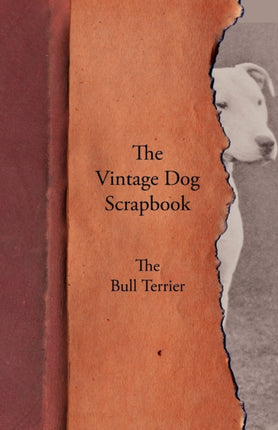 The Vintage Dog Scrapbook  The Bull Terrier