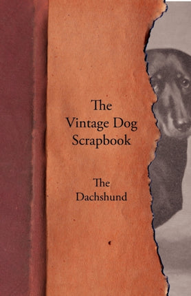 The Vintage Dog Scrapbook  The Dachshund