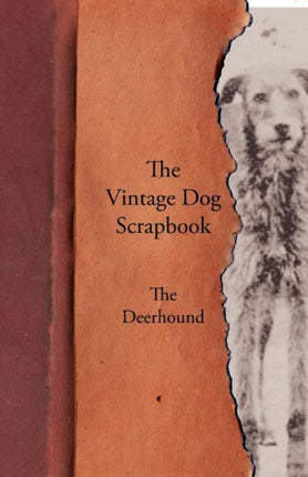 The Vintage Dog Scrapbook  The Deerhound