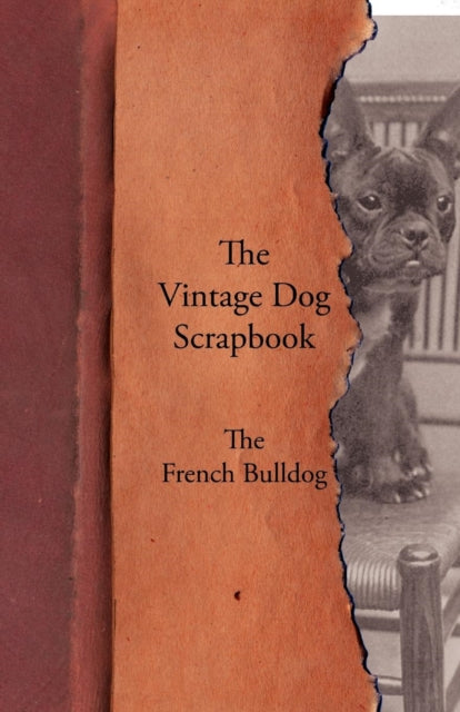 The Vintage Dog Scrapbook  The French Bulldog