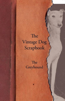 The Vintage Dog Scrapbook  The Greyhound