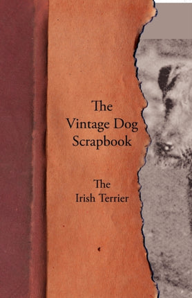 The Vintage Dog Scrapbook  The Irish Terrier