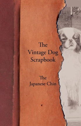 The Vintage Dog Scrapbook  The Japanese Chin
