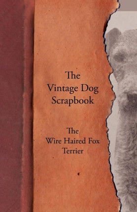 The Vintage Dog Scrapbook  The Wire Haired Fox Terrier