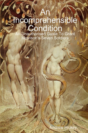 An Incomprehensible Condition An Unauthorised Guide To Grant Morrisons Seven Soldiers