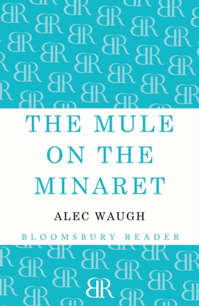 The Mule on the Minaret