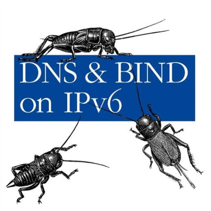 DNS and BIND on IPv6