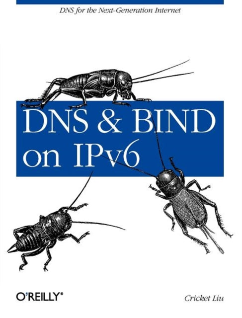 DNS and BIND on IPv6