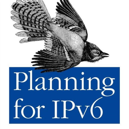 Planning for IPv6