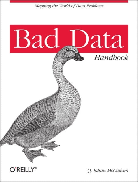 Bad Data Handbook: Cleaning Up the Data So You Can Get Back to Work