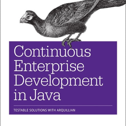 Continuous Enterprise Development in Java