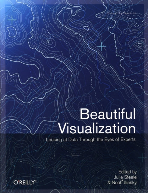 Beautiful Visualization : Looking At Data Through The Eyes Of Experts