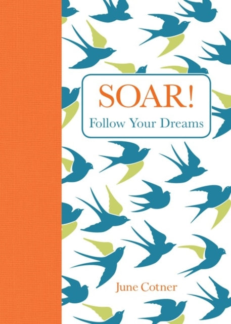 Soar Follow Your Dreams