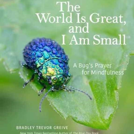 The World Is Great and I Am Small A Bugs Prayer for Mindfulness