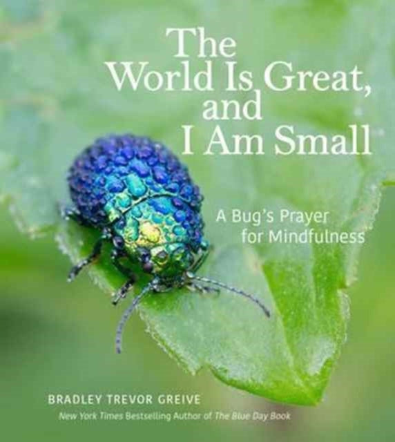 The World Is Great and I Am Small A Bugs Prayer for Mindfulness