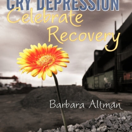 Cry Depression Celebrate Recovery My Journey Through Mental Illness