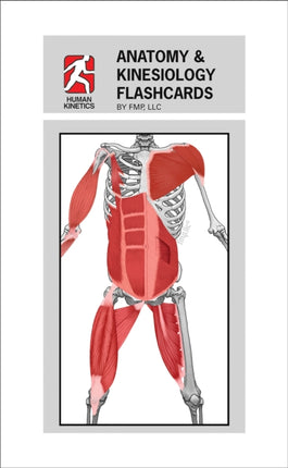 Anatomy  Kinesiology Flashcards
