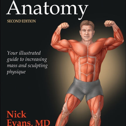 Bodybuilding Anatomy