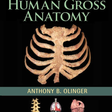 Human Gross Anatomy