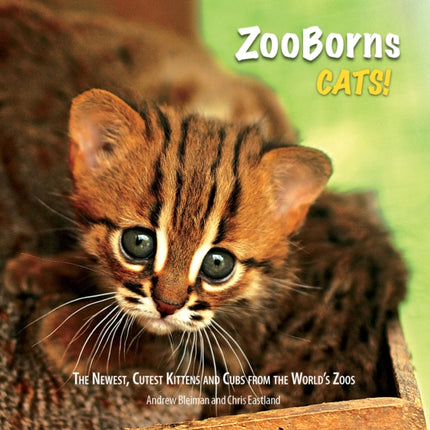 ZooBorns Cats!: The Newest, Cutest Kittens and Cubs from the World's Zoos