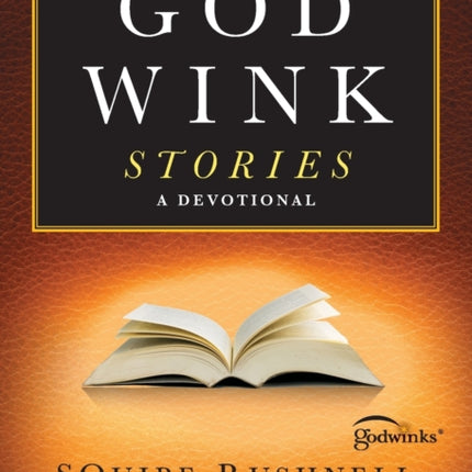 Godwink Stories: A Devotional