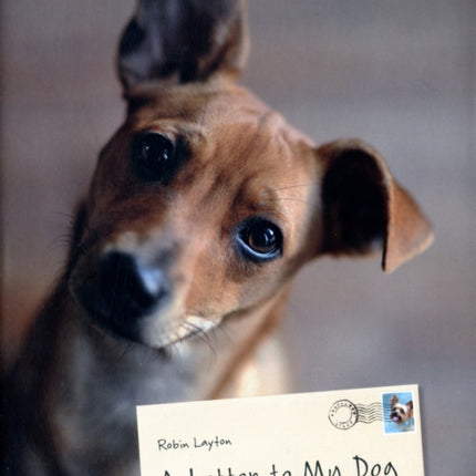 A Letter to My Dog: Personal Notes from Humans to Their Pups