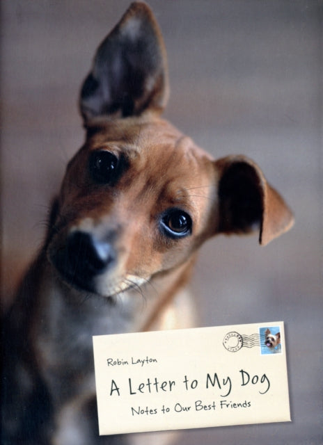 A Letter to My Dog: Personal Notes from Humans to Their Pups