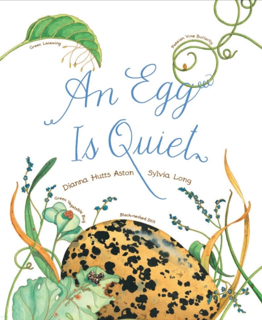 An Egg Is Quiet