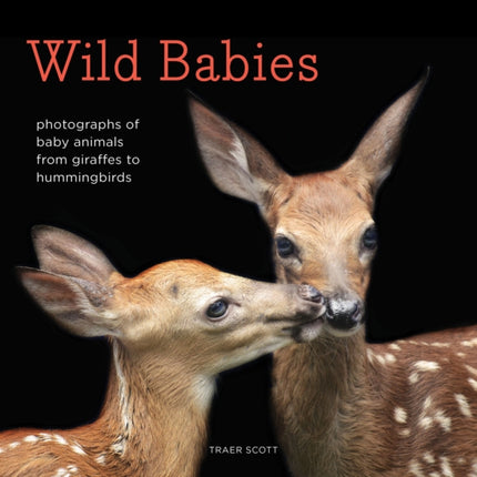 Wild Babies: Photographs of Baby Animals from Giraffes to Hummingbirds