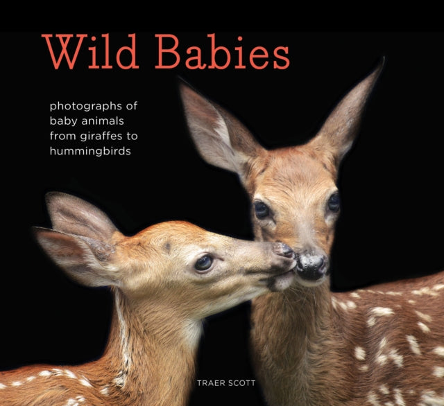 Wild Babies: Photographs of Baby Animals from Giraffes to Hummingbirds