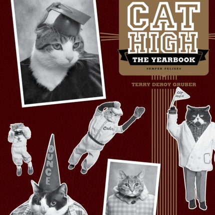 Cat High: The Yearbook