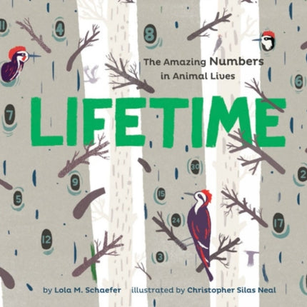 Lifetime: The Amazing Numbers in Animal Lives