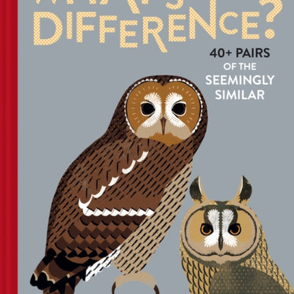 What's the Difference?: 40+ Pairs of the Seemingly Similar