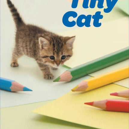 Tiny Cat Notecards