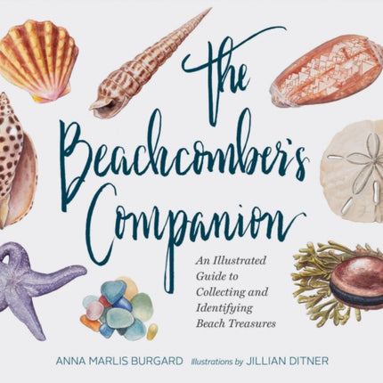 Beachcomber's Companion: An Illustrated Guide to Collecting and Identifying Beach Treasures