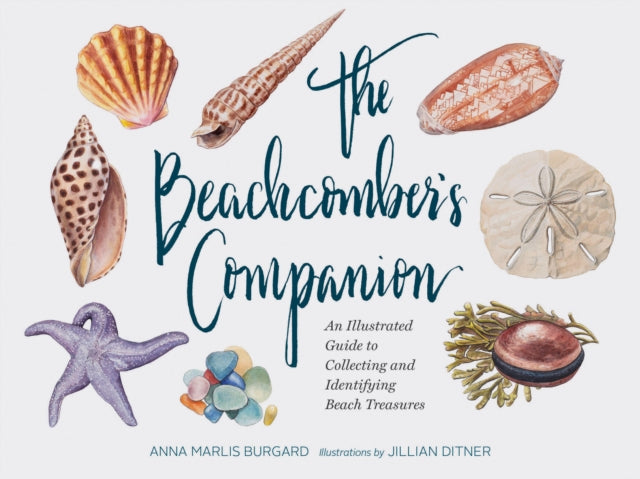 Beachcomber's Companion: An Illustrated Guide to Collecting and Identifying Beach Treasures