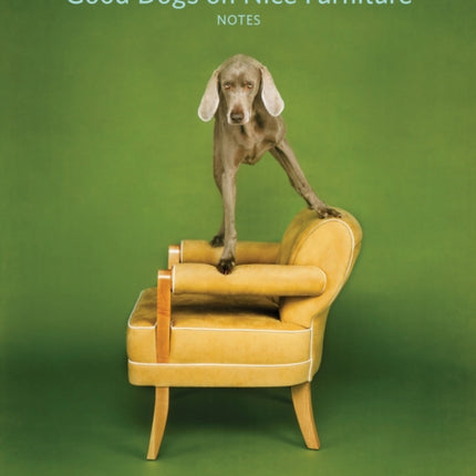 Good Dogs on Nice Furniture Notes: 20 Different Notecards & Envelopes