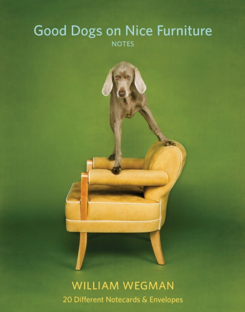 Good Dogs on Nice Furniture Notes: 20 Different Notecards & Envelopes