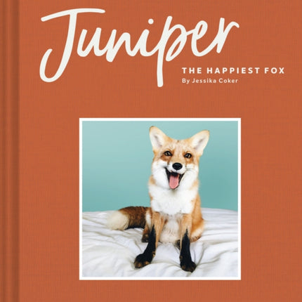 Juniper The Happiest Fox