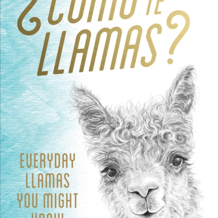 Como te Llamas?: Everyday Llamas You Might Know