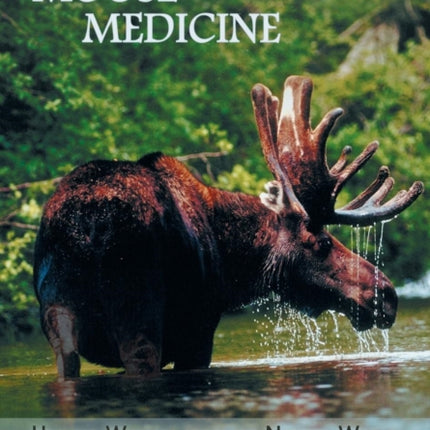Moose Medicine Healing Wisdom from the Natural World