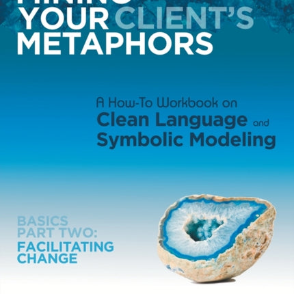 Mining Your Clients Metaphors