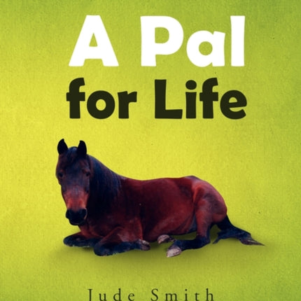 A Pal for Life