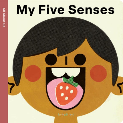Spring Street All About Us My Five Senses