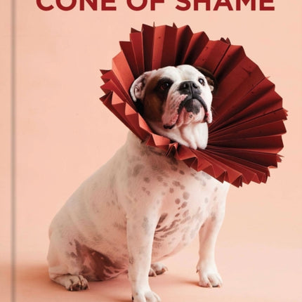 Cone of Shame