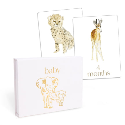 Baby First Year Milestone Cards