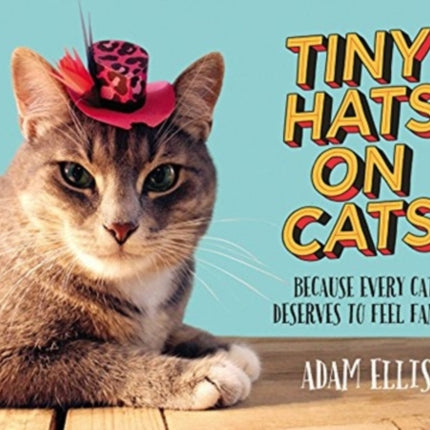 Tiny Hats on Cats: Because Every Cat Deserves to Feel Fancy