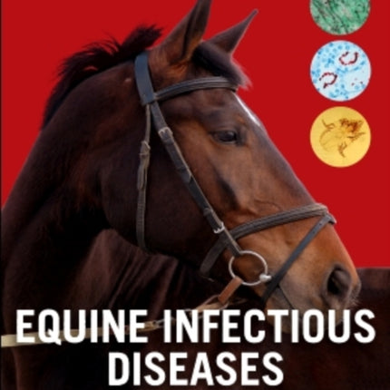Equine Infectious Diseases